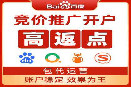 百度竞价排名服务：成功案例解析